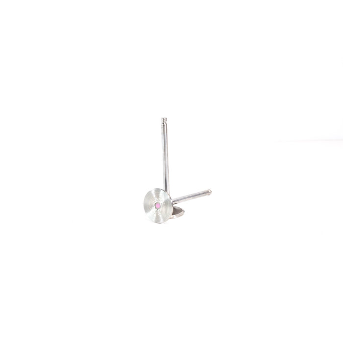 820885 Inlet Valve