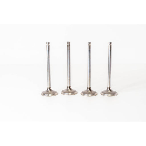 820887 Outlet valve