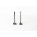 820900 Inlet Valve