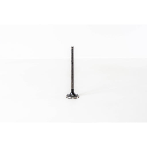 820910 Outlet valve
