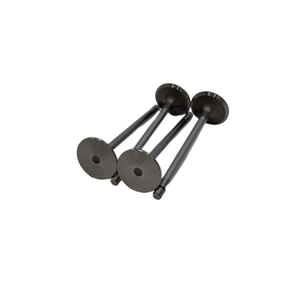 820932 Inlet Valve