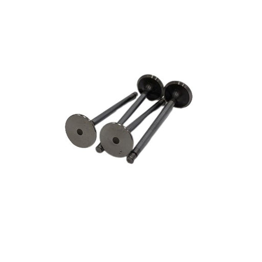 820933 Outlet valve