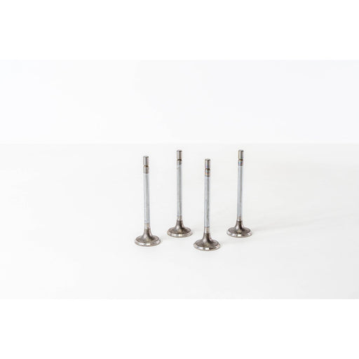 820955 Inlet Valve