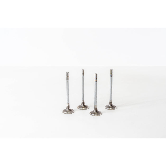 820955 Inlet Valve