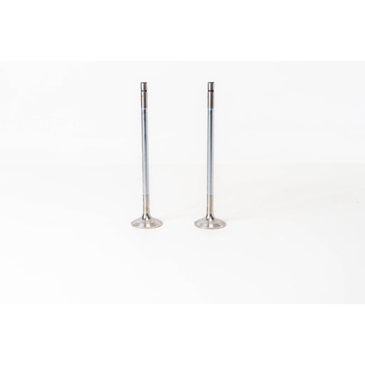 820966 Outlet valve
