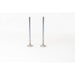 820966 Outlet valve
