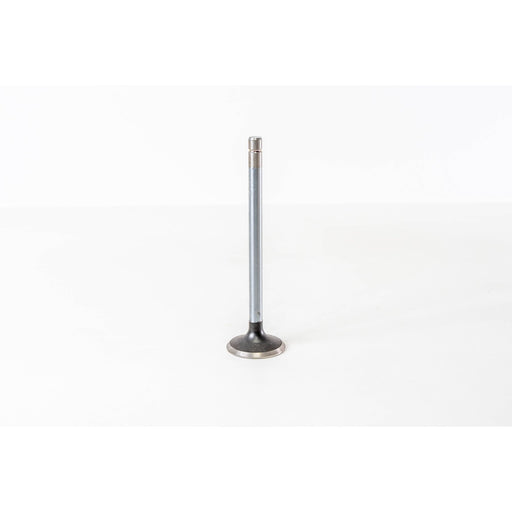 820970 Outlet valve