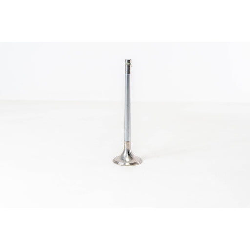 821090 Outlet valve