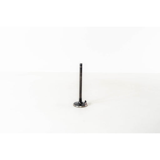 821130 Inlet Valve