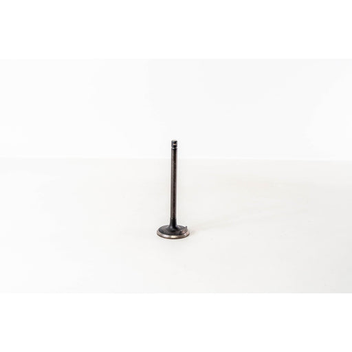 821140 Inlet Valve