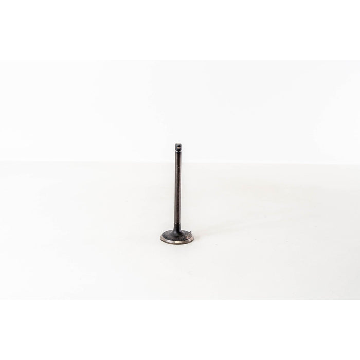 821140 Inlet Valve