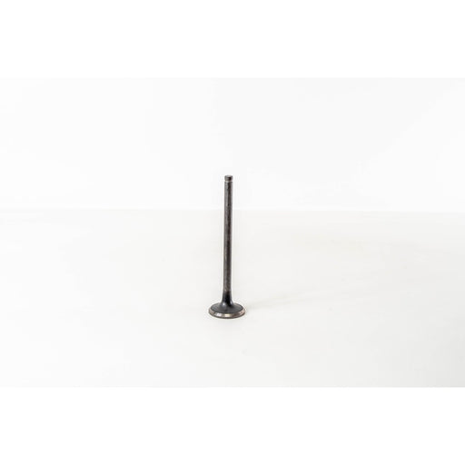 821170 Outlet valve