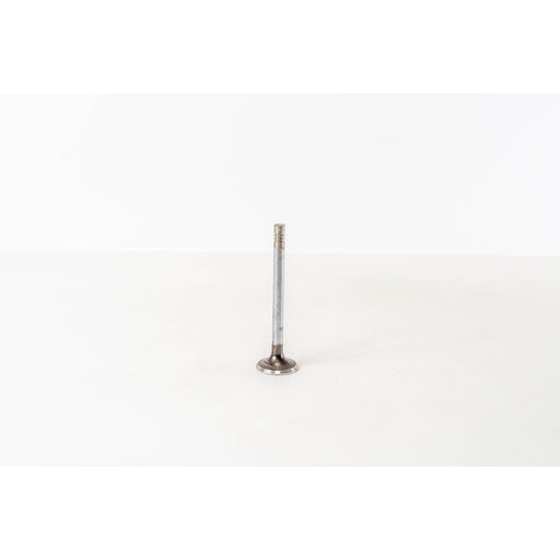 821270 Outlet valve