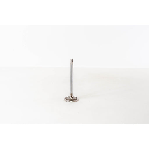 821290 Inlet Valve