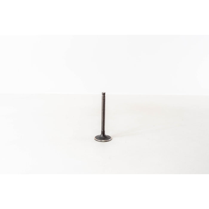 821335 Inlet Valve