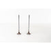 821350 Inlet Valve