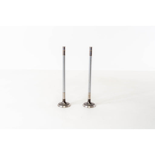 821355 Outlet valve