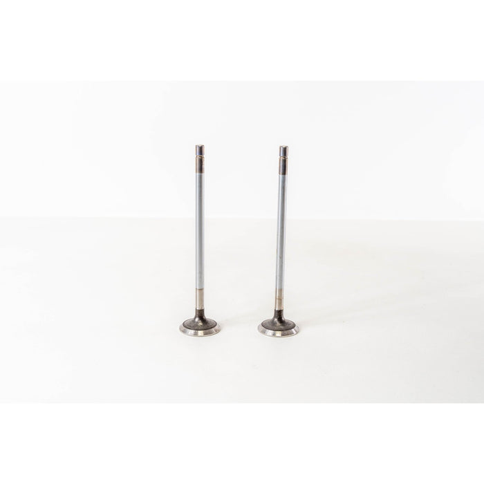 821355 Outlet valve