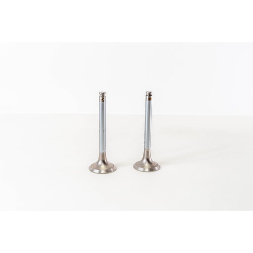 821390 Outlet valve