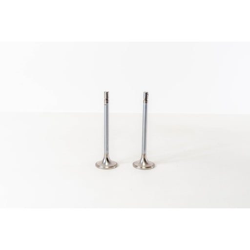 821410 Inlet Valve