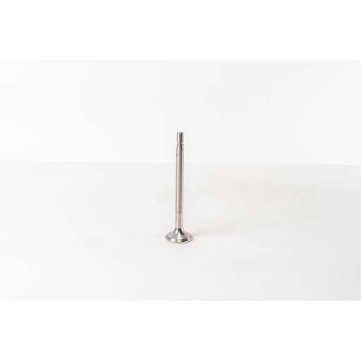 821420 Outlet valve
