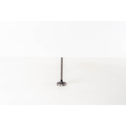 821480 Inlet Valve