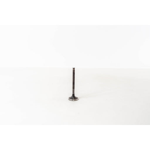 821490 Outlet valve