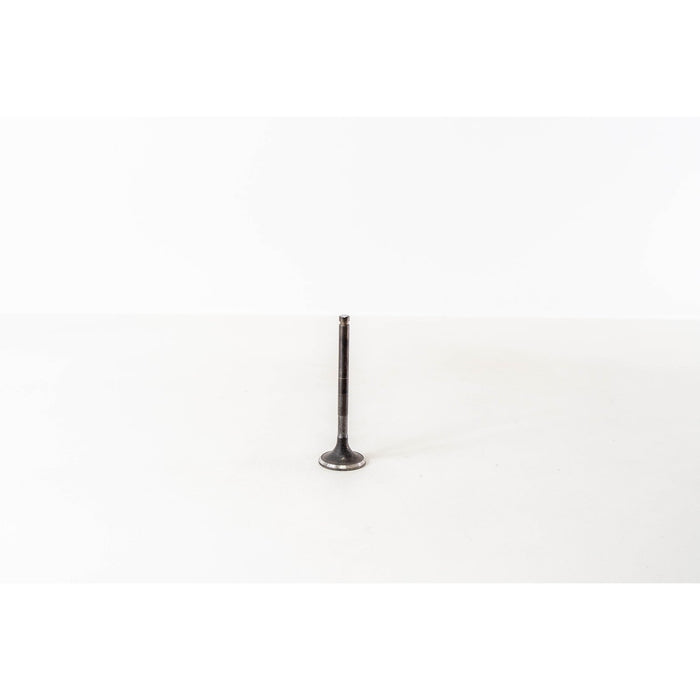 821490 Outlet valve