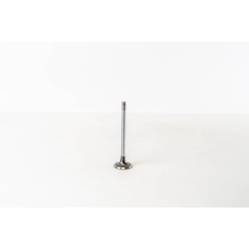 821500 Inlet Valve