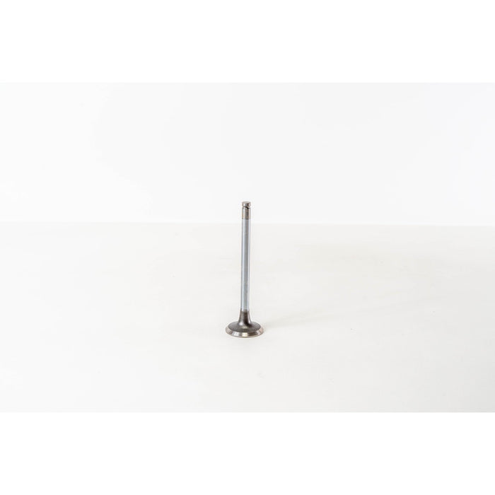821500 Inlet Valve
