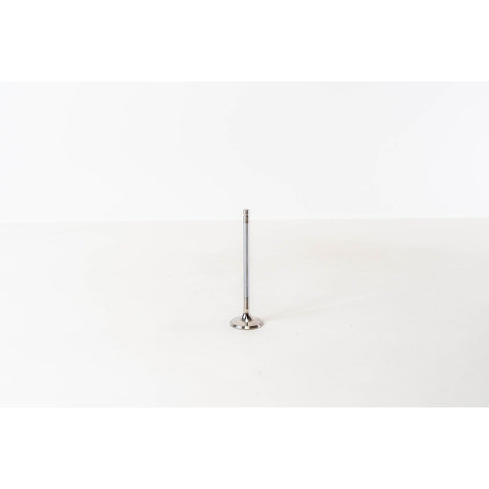 821530 Outlet valve