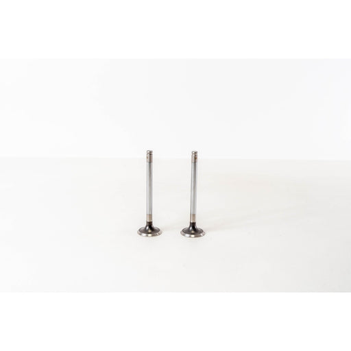 821610 Outlet valve