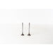 821610 Outlet valve