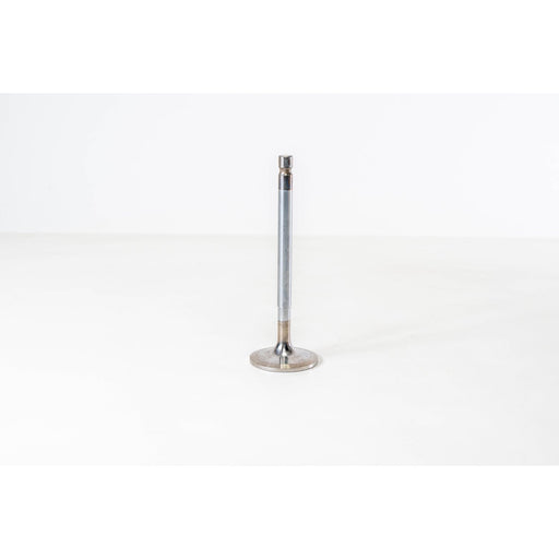 821830 Inlet Valve