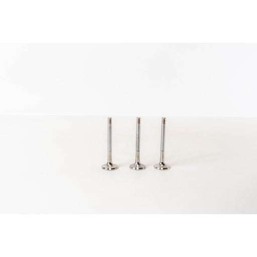 821940 Outlet valve