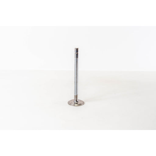 821970 Inlet Valve