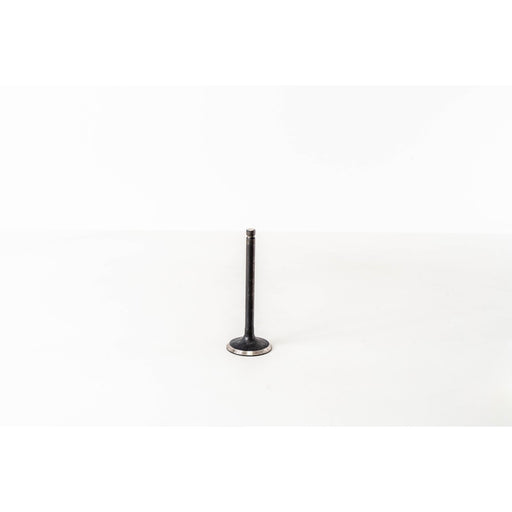 821985 Inlet Valve