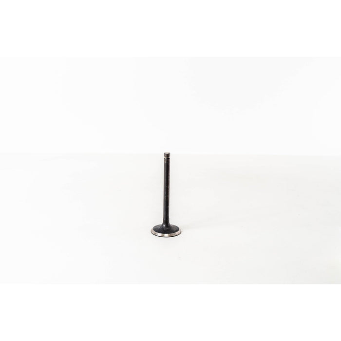 821985 Inlet Valve
