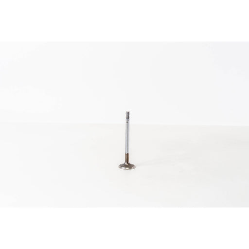822160 Inlet Valve