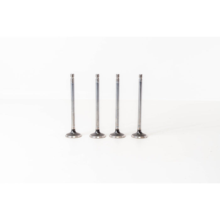 822210 Outlet valve
