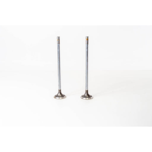 822250 Outlet valve