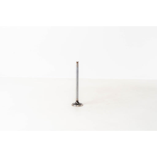 822290 Outlet valve