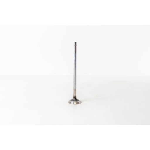 822460 Outlet valve