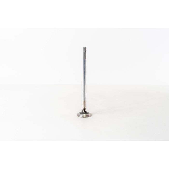 822460 Outlet valve