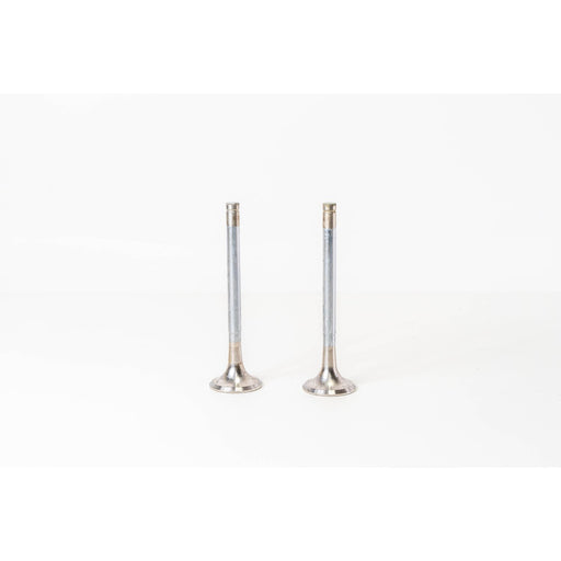 822525 Outlet valve