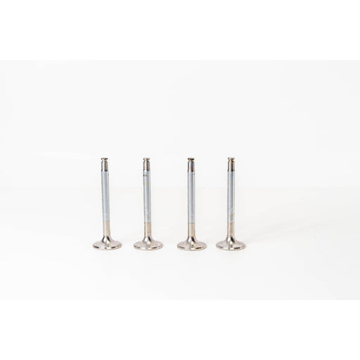 823030 Outlet valve
