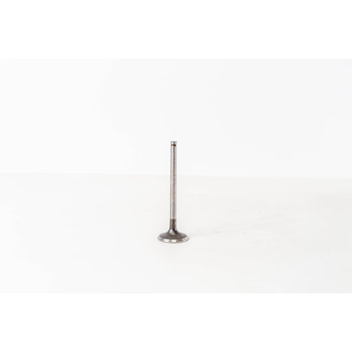 823170 Inlet Valve