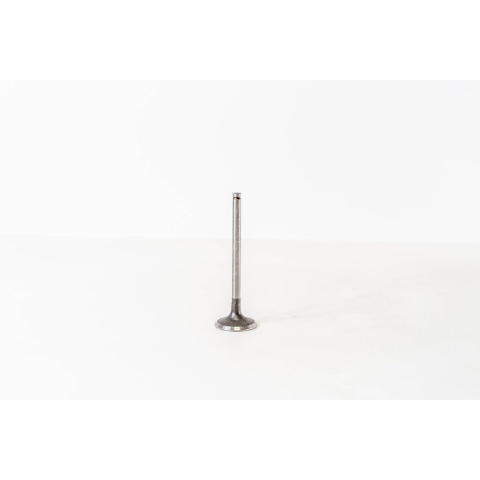 823170 Inlet Valve