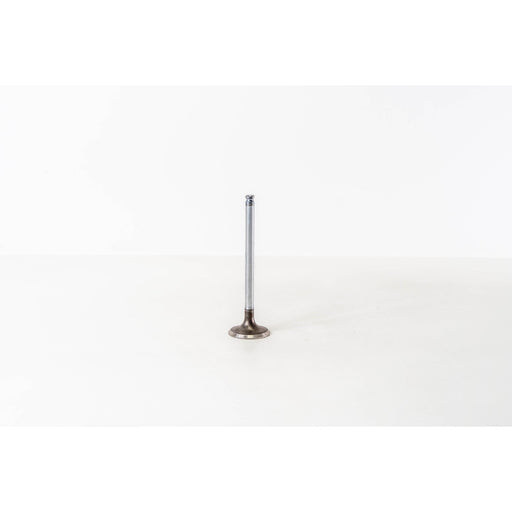 823310 Inlet Valve