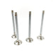823320 Outlet valve